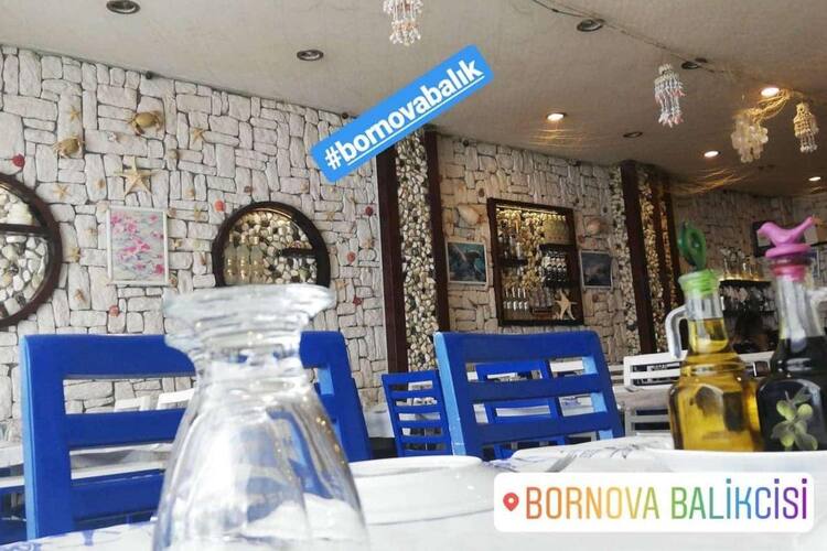 bornova balik pisiricisi bornova izmir